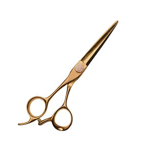 Tijeras de peluquero con mango de acero inoxidable para salón profesional, hoja de acero inoxidable para suministros de salón de belleza - Product Image 2