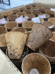 100% NATUREL FIBRE DE NOIX DE COCO ARGILE BIODÉGRADABLE NOIX DE COCO POT DE PLANTE DE Pépinière - Product Image 3