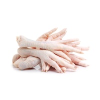Pattes de poulet congelées de meilleure qualité à bon prix Pieds de poulet congelés à exporter pour le marché prêt à l'emploi