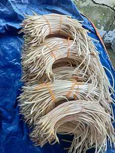 Tiges de lotus congelées de qualité Vente en gros de lotus naturel vietnamien - Product Image 3