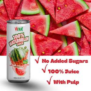 Purée de pastèque fraîchement pressée 100% sans sucre, vraie pulpe, boîte de 320 ml (en conserve), vente en gros, marque privée, échantillon gratuit, Vietnam - Product Image 2
