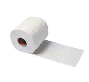High Quality Soft and Absorbent Malambot Bathroom Tissue Disposable and Washable Available for Bulk Sale at Low Price - Product Image 1