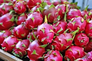 Vietnam Verse Dragon Fruit Pitaya Groothandel Voor Rood/Wit Dragon Fruit Hoge Kwaliteit Bevroren Pitaya Uit Vietnam Beste Prijs
