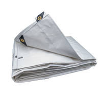 Offre Spéciale 100% bâche imperméable de haute qualité de couverture de camion bâche transparente résistante 10x10 bâche de PE de tente Protection UV