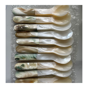 Élégante cuillère en nacre et cuillère en coquillage de 99 Gold Data Vietnam pour servir du sel et des délices - Product Image 2