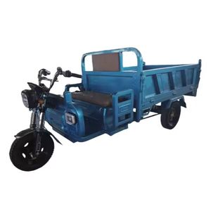 Triciclo Eléctrico Cerrado Económico para Pasajeros, Tuk Tuk para 4 Pasajeros, 60V 200-250W - Product Image 3