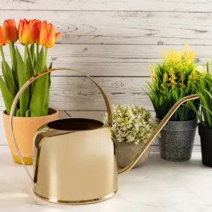 Arrosoir en laiton multifonctionnel 1,8 L Écologique pour les plantes et les fleurs d'intérieur et d'extérieur - Product Image 3