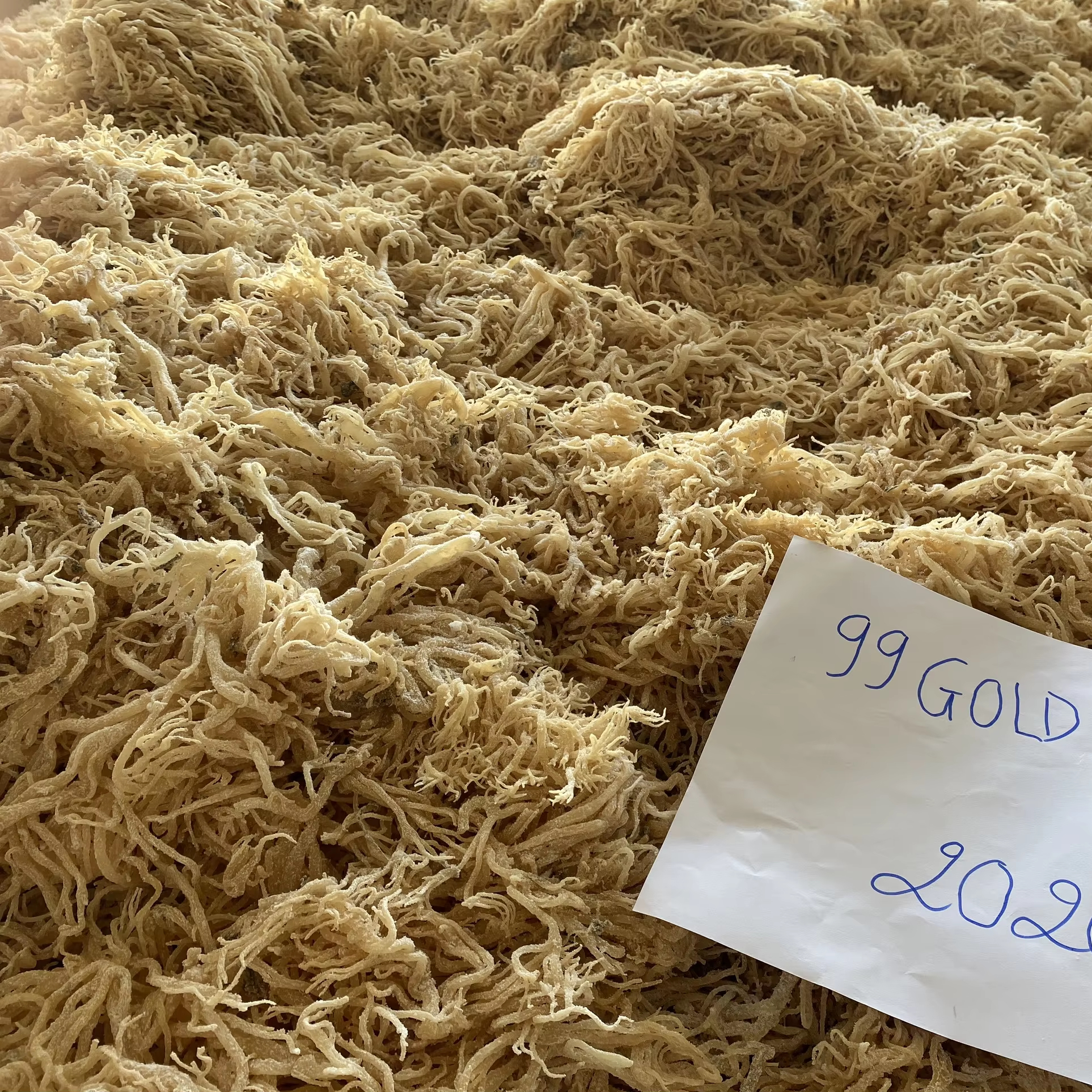 Сушеные водоросли Eucheuma Spinosum, высокое качество, ирландский мох, добавочный продукт, сырой морской мох, 100% чистый натуральный