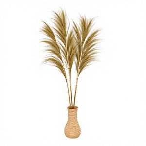 Hierba Seca Natural Rayung Hecha a Mano, Estilo Pampas, para Rellenar Jarrones, Decoración del Hogar - Product Image 1