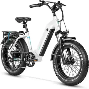 TOP QUALITY FOR NEW MAGICYCLE Ocelot/Ocelot Pro Step Thru 20inch Electric Bike for Adults 750W 52V E Bike