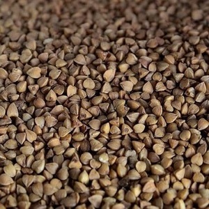 Granos de Trigo Sarraceno Tostados Orgánicos a Granel 100% Naturales - Product Image 1