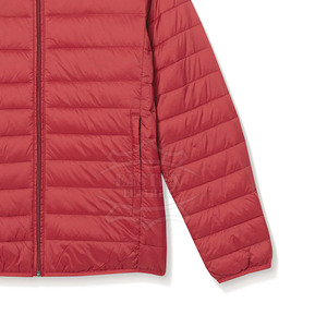 Chaqueta de Invierno Acolchada para Hombre, Color Sólido, Estilo Casual, Moda Urbana 2025, Resistente al Viento, Cuello Alto, Cierre Frontal con Cremallera y Logotipo - Product Image 6