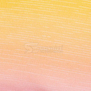 Ensemble de yoga Leggings et soutien-gorge sans couture Confortable pour la salle de sport Entraînement Ensemble de yoga pour femmes Leggings en tissu extensible et soutien-gorge assorti - Product Image 6