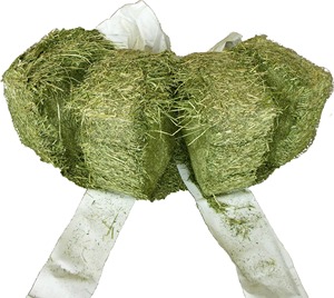 Timothy Alfalfa Hay อาหารโปรตีนสูงสำหรับสัตว์และปลาสำหรับโคหมูม้าสัตว์เลี้ยงบรรจุในก้อน - Product Image 5