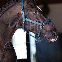 Meilleur prix disponible, bride de cheval en cuir de haute qualité, logo personnalisé OEM, confortable, légère, pour l'équitation, nouveauté