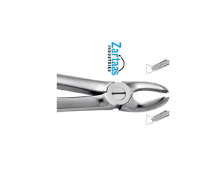 Fórceps de extracción de acero inoxidable de alta calidad incisivos superiores para niños Fig. 39A exportadores y fabricante - Product Image 5