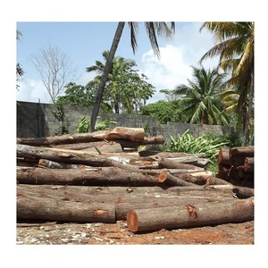 Bûches de bois d'acajou de haute qualité pour la fabrication et la construction de meubles - Product Image 6