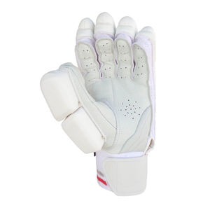 Gants de frappe de cricket personnalisés de dernière génération, entièrement confortables, pakistanais, nouveau design 2026, haute qualité, gants de frappe de cricket bon marché - Product Image 3