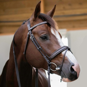 Snaffle Bridleทุกวันแบบพกพาหรูหราพรีเมี่ยมคลาสสิกดูแฟชั่นสมาร์ทข้อเหวี่ยงจมูกเชือกแขวนคอComboกับReinsกีฬา - Product Image 2