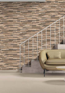 Carreaux de mur extérieur en porcelaine 300x600mm, extérieur moderne - Product Image 5