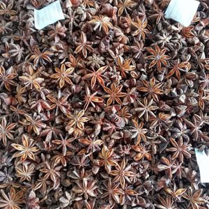 Le Sunrise Ins le plus vendu du Vietnam Qualité supérieure Anis étoilé Épices simples séchées Herbes Traitement brut Durée de conservation de 2 ans - Product Image 4
