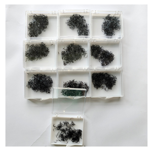 Extensiones de Pestañas de Volumen Completo Hechas a Mano con Pelo Sintético 10D de Entrega Rápida para Uso en Salones de Belleza, Bandeja para Maquillaje Diario Sexy - Product Image 2