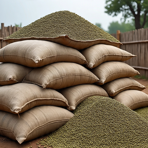 Vente en gros de nouvelle culture Moong Dal Haricots mungo séchés à croissance naturelle Haricots mungo verts biologiques - Product Image 5