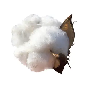 Good Prices Loose Cotton Pulp In Bulk Worldwide Shipping Cotton Pulp For Sale