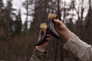 Corne à boire naturelle Viking de haute qualité polie écologique en corne de buffle Design animal - Product Image 4