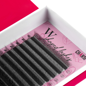 Belleza de alta calidad más pestañas 5d-w aspecto natural mega volumen ventiladores prefabricados varios espesores suministros de extensión de pestañas personalizar - Product Image 2