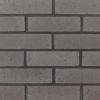 Briques d'argile naturelles solides pour façade, qualité supérieure, briques réfractaires pour façades extérieures et intérieures