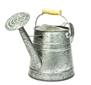 Fantaisie indienne élégante en métal eau peut dernière arrivée en métal eau peut conception Unique à la main meilleur arrosage fournitures de jardin - Product Image 5