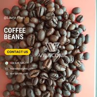 Grains de café Robusta Arabica torréfiés de haute qualité Vietnam prix de gros usine café de spécialité traité brut + 84928148271