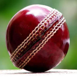 ซื้อลูกหนังแท้คริกเก็ตส่งเสริมการขายคุณภาพสูงพร้อมปรับแต่งโลโก้ปากีสถานโดยสินค้าขายส่ง - Product Image 6