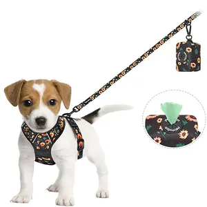 Custom No Pull Dog Harness Set Leash Easy Control Handle Reflective Vest Dogs Harness and Leash Wholesaler Best Price