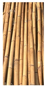 Bastón de ratán y postes de ratán para muebles y artesanía/Poste de ratán para exportación o pulido de Vietnam - Product Image 2