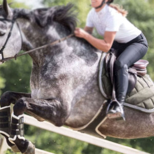 Services OEM Ensembles de coussins de selle de conception unique Ensembles de coussins de selle de haute qualité à bas quantité minimale de commande pour unisexe - Product Image 3