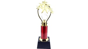Trofeo de 7 estrellas corporativas de fabricación india para altos ejecutivos e hitos comerciales excepcionales disponibles a un precio asequible - Product Image 2