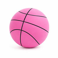 Elite Taille 7 29.5" Mousse PU 340g Toucher Doux Faible Bruit Entraînement Intérieur OEM Usine Basket Silencieux