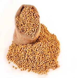 Soja Seca al por Mayor en Existencia, Alta Calidad, Precio Económico, Servicio de Entrega Rápida a Todo el Mundo, Origen Estadounidense - Product Image 1