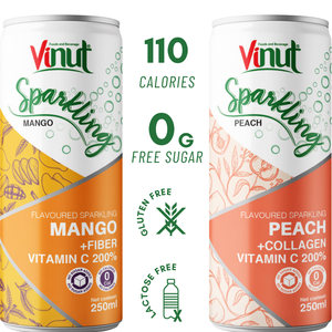 Lime & Lemon Fruit Juice Sparkling Water Can Drink 250ml (8.5fl Oz) OEM ODM Private Label Wholesale Beverage Manufacturer - Product Image 2
