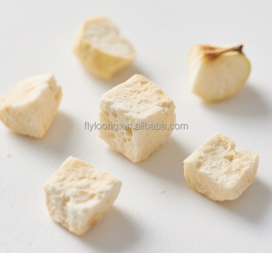 Vente en gros de fruits secs chinois : Cubes de pommes lyophilisées sucrées, complément de flocons d'avoine conservés, emballage en vrac - Product Image 4