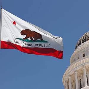 Drapeau de Californie 3x5 pieds, 3 couches de polyester, double face, avec mât en aluminium, pour intérieur/extérieur - Product Image 5