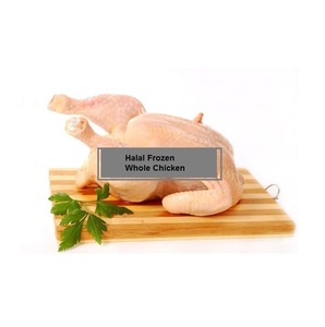 Patas de Pollo Congeladas Halal Certificadas de Calidad/ Alas de Pollo/ Pollo Entero Congelado - Product Image 4
