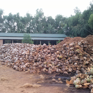 Fibre de noix de coco à haute norme d'exportation Prix concurrentiel Nouveau produit agricole choisi au Vietnam! - Product Image 5
