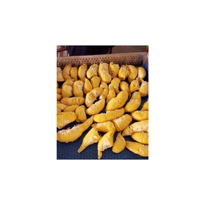 Segments de durian congelés Premium Thai Monthong, doux et lisse, congelé IQF, emballage sous vide de 1kg, idéal pour les fabricants de desserts - Product Image 2