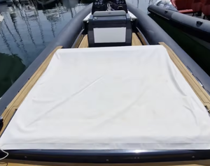 Precio de Subasta 2020 R.9 9m V0LV_0 Motor Intraborda PENTAsV8 de 430HP con 220 Horas de Funcionamiento, Barco Semirrígido Industrial, Fabricación Personalizada OEM ODM - Product Image 3