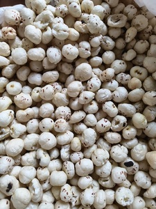 เมล็ดจิ้งจอกเกรดพรีเมี่ยมมาคาน่ายูริเยลเฟอร์๊อกซ์ทำความสะอาดได้อย่างดีมีความชื้นควบคุมด้วยเมล็ดเมล็ดที่มีโปรตีน9กรัม - Product Image 3