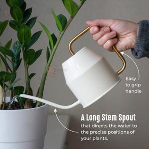 กระป๋องน้ำสีเขียวเคลือบด้วยผงทองด้ามจับสำหรับรดน้ำจากผู้ผลิตจากอินเดีย - Product Image 5