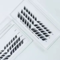 Grappe de cils précoupés en œil de renard ailé individuel Diy Segment L Curl Cluster Lashes L Curl Faux Mink Cluster Private Label